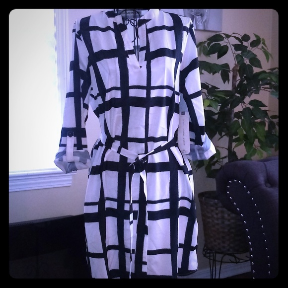 Belted Shirt Dress - Picture 1 of 2